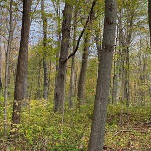 Meet your Posher, Amna